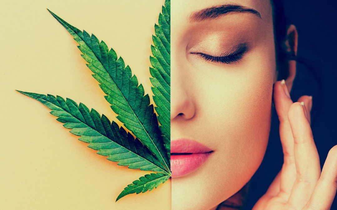 Cosmética de Cannabis: el último grito de moda en belleza y bienestar