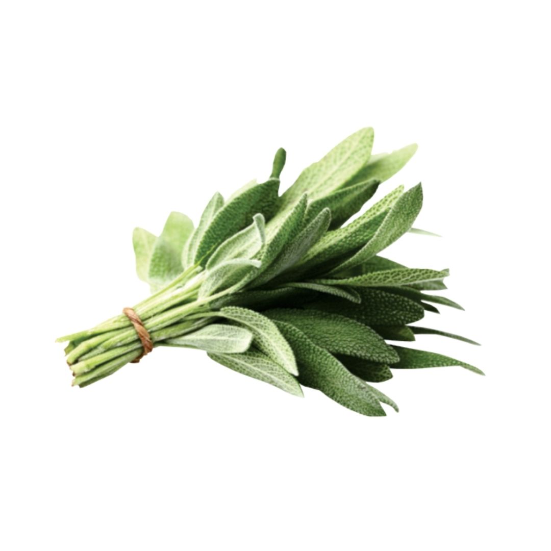 Salvia officinalis en cosmética
