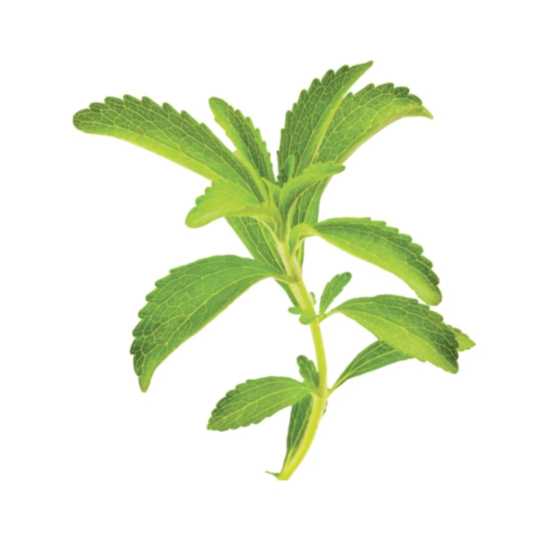Stevia rebaudiana en cosmética